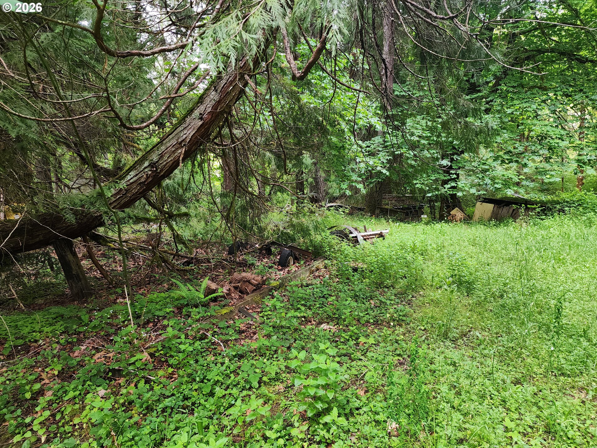 0 Louis Creek Road Myrtle Creek, OR 97457 - Photo 15 of 20