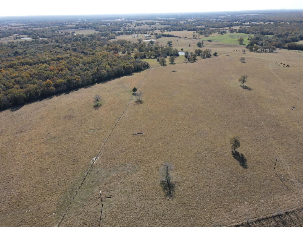 1 Fm 2954 Bremond, TX 76629 - Photo 12 of 25 a view of a dry yard and mountain view