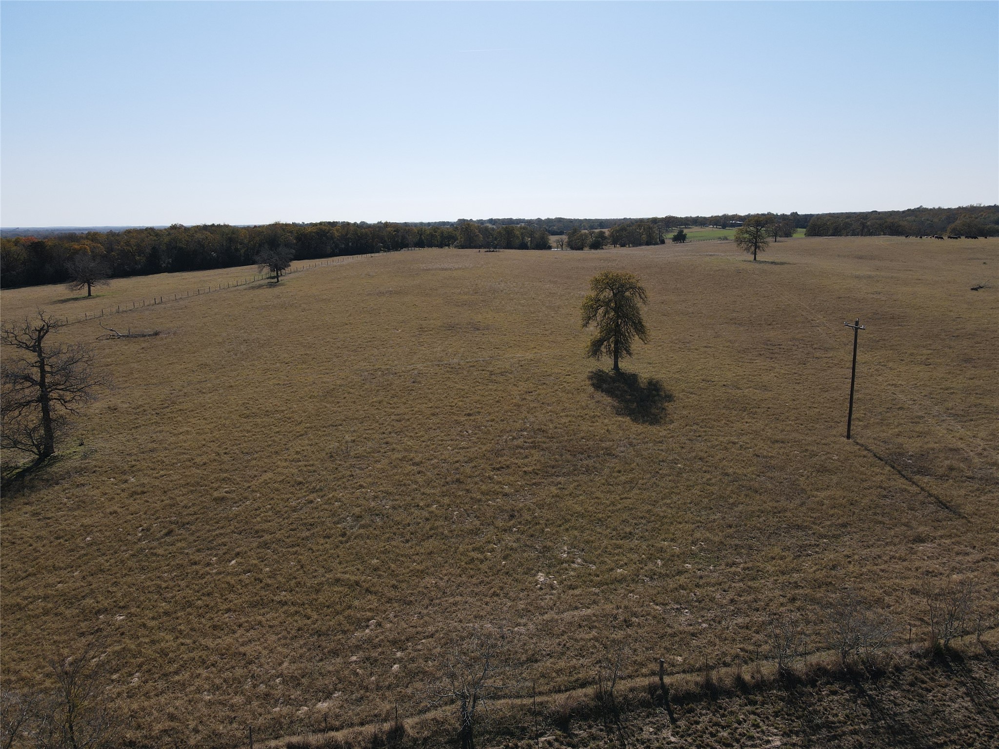 1 Fm 2954 Bremond, TX 76629 - Photo 15 of 25 a view of lake