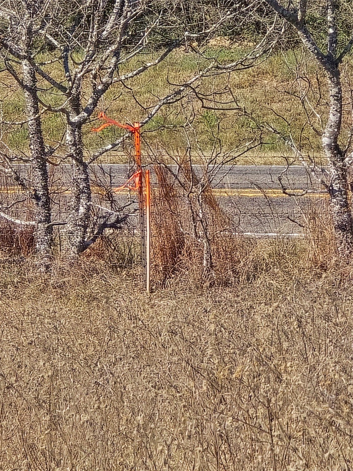 1 Fm 2954 Bremond, TX 76629 - Photo 18 of 25 a backyard of a house with lots of green space