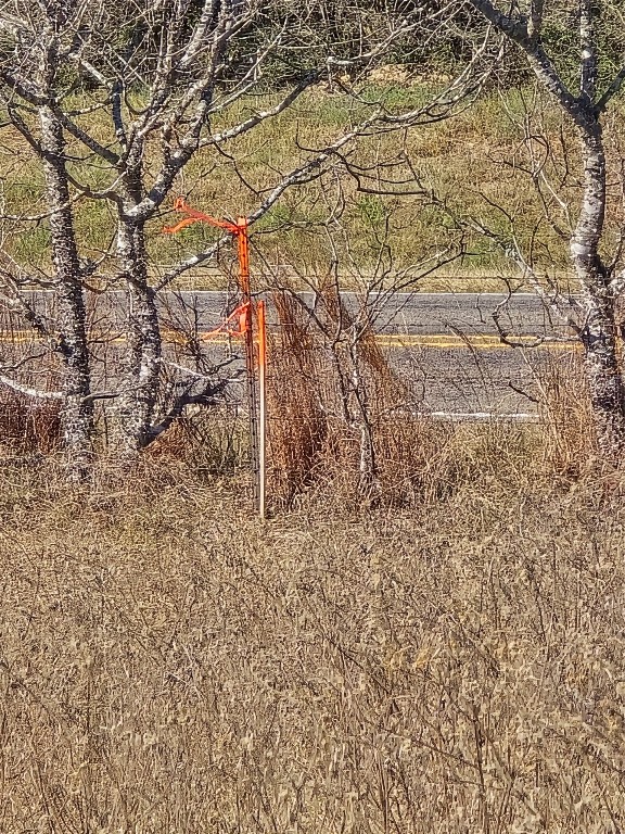1 Fm 2954 Bremond, TX 76629 - Photo 18 of 25 a backyard of a house with lots of green space