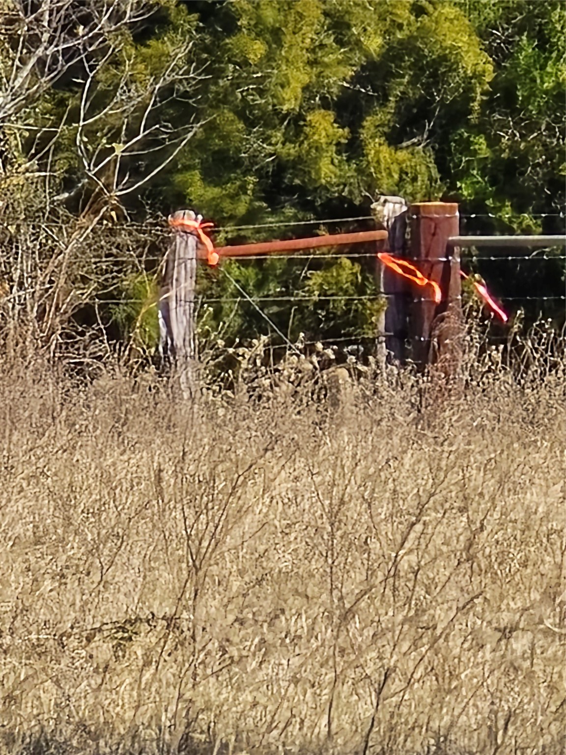 1 Fm 2954 Bremond, TX 76629 - Photo 19 of 25 a backyard of a house with lots of green space