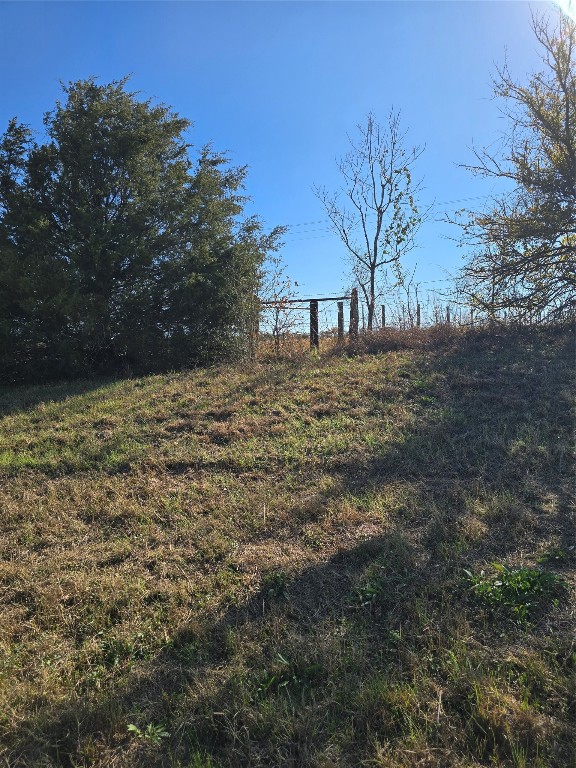 1 Fm 2954 Bremond, TX 76629 - Photo 24 of 25 a view of a yard with a tree