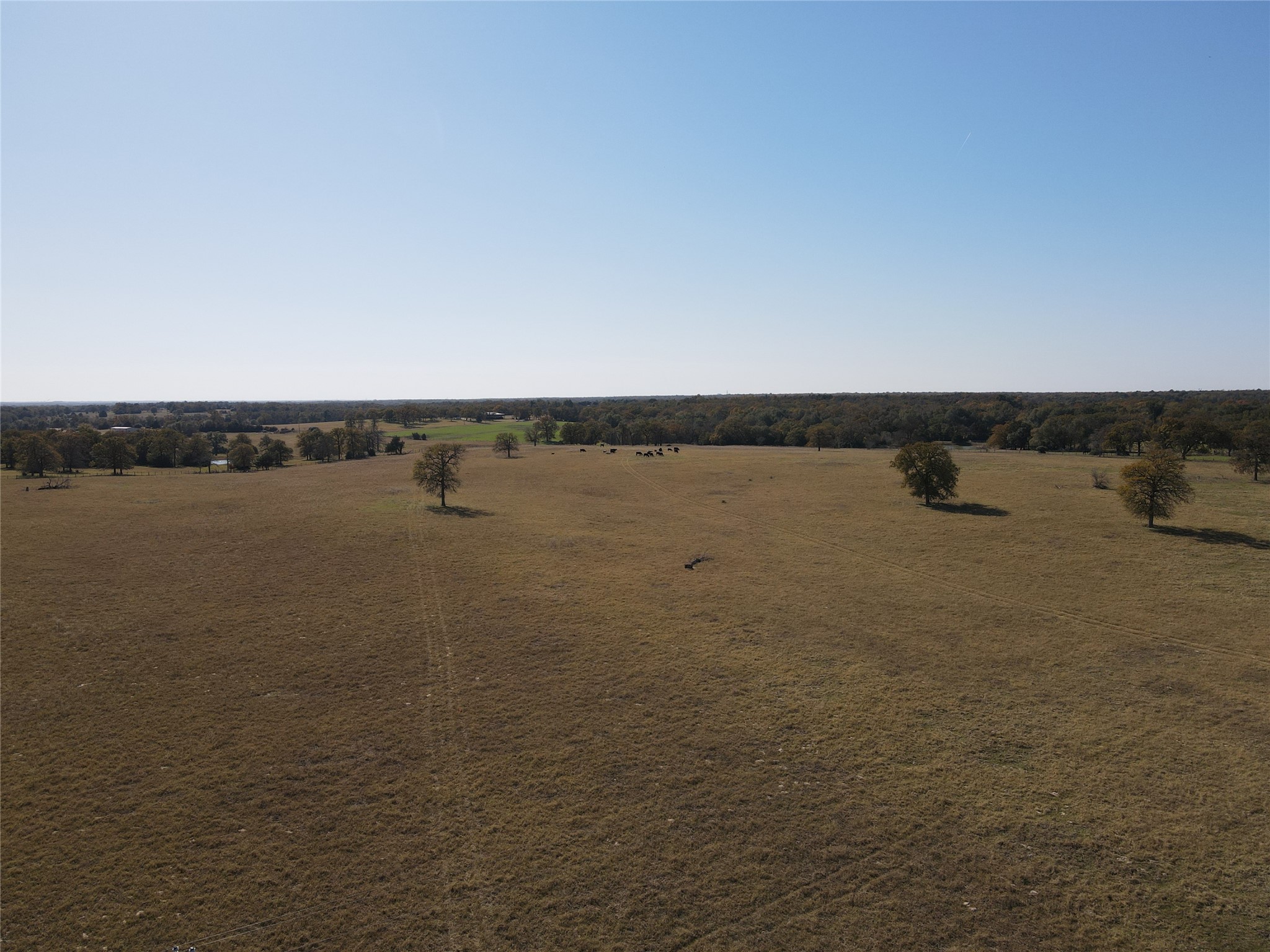 1 Fm 2954 Bremond, TX 76629 - Photo 8 of 25 a view of a lake view