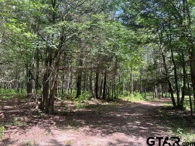 $225,000 | 757 St Winona Tx 75792, Winona, TX 75792