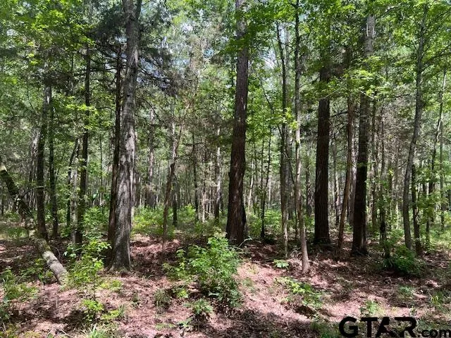 $225,000 | 757 St Winona Tx 75792, Winona, TX 75792