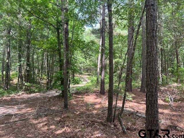 $225,000 | 757 St Winona Tx 75792, Winona, TX 75792