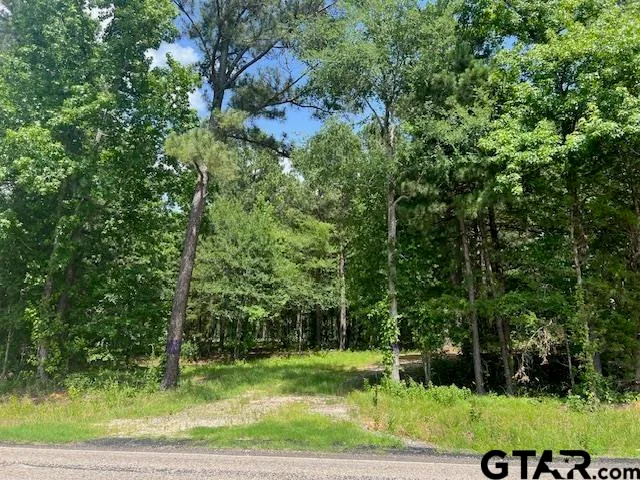 $225,000 | 757 St Winona Tx 75792, Winona, TX 75792