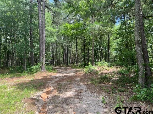 $225,000 | 757 St Winona Tx 75792, Winona, TX 75792