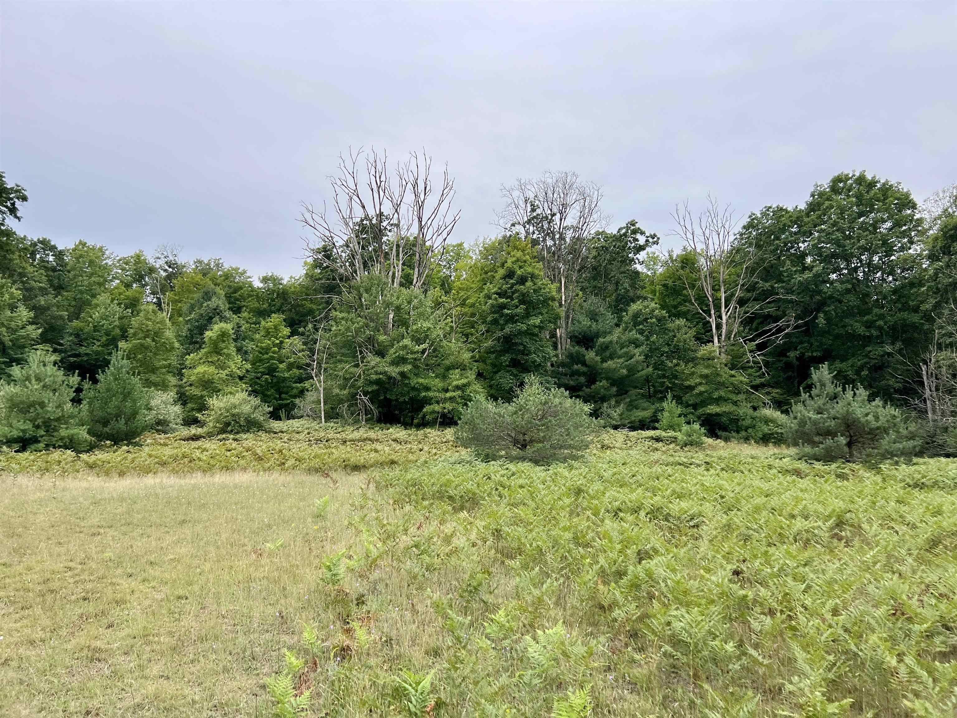 9 9 Mile Road Kingsley, MI 49649 - Photo 58 of 66