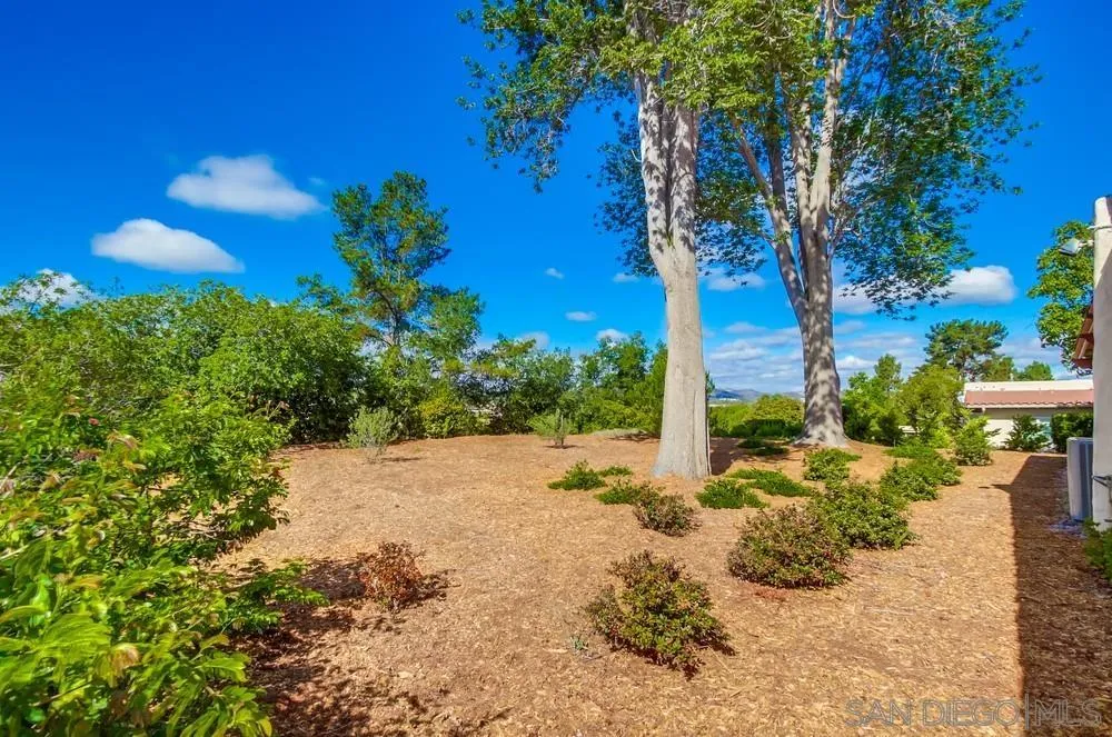 16632 Roca Drive San Diego, CA 92128 - Photo 34 of 44 a view of a backyard of a house with a fountain