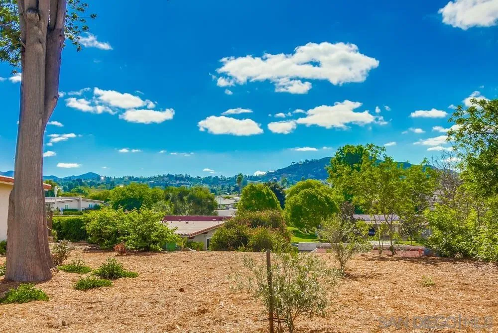 16632 Roca Drive San Diego, CA 92128 - Photo 38 of 44 a view of a flower in a garden