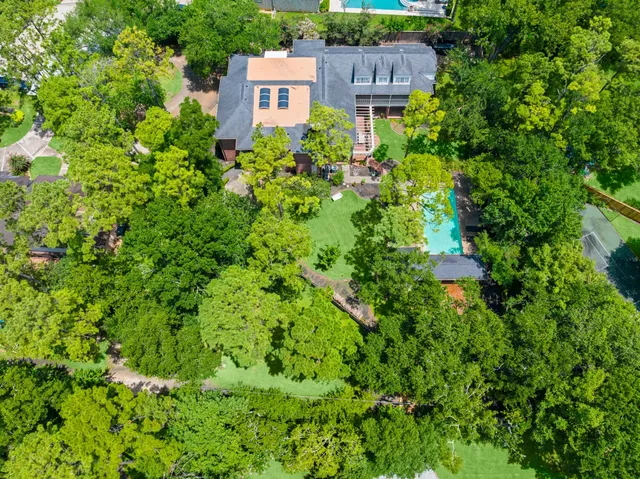 a plant view in yard