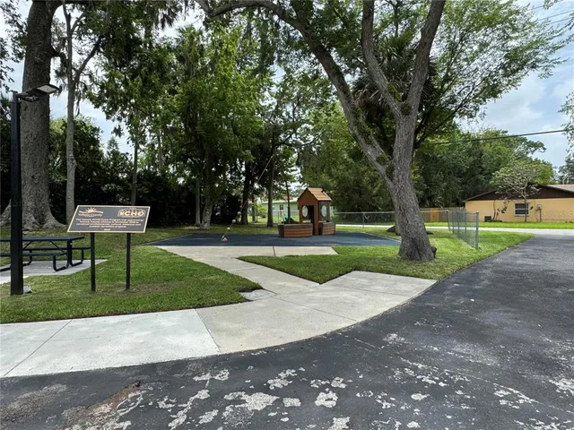 a view of a park with trees