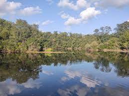 211 Walleye Circle Wilmington, IL 60481 - Photo 15 of 15 a view of a lake with a city