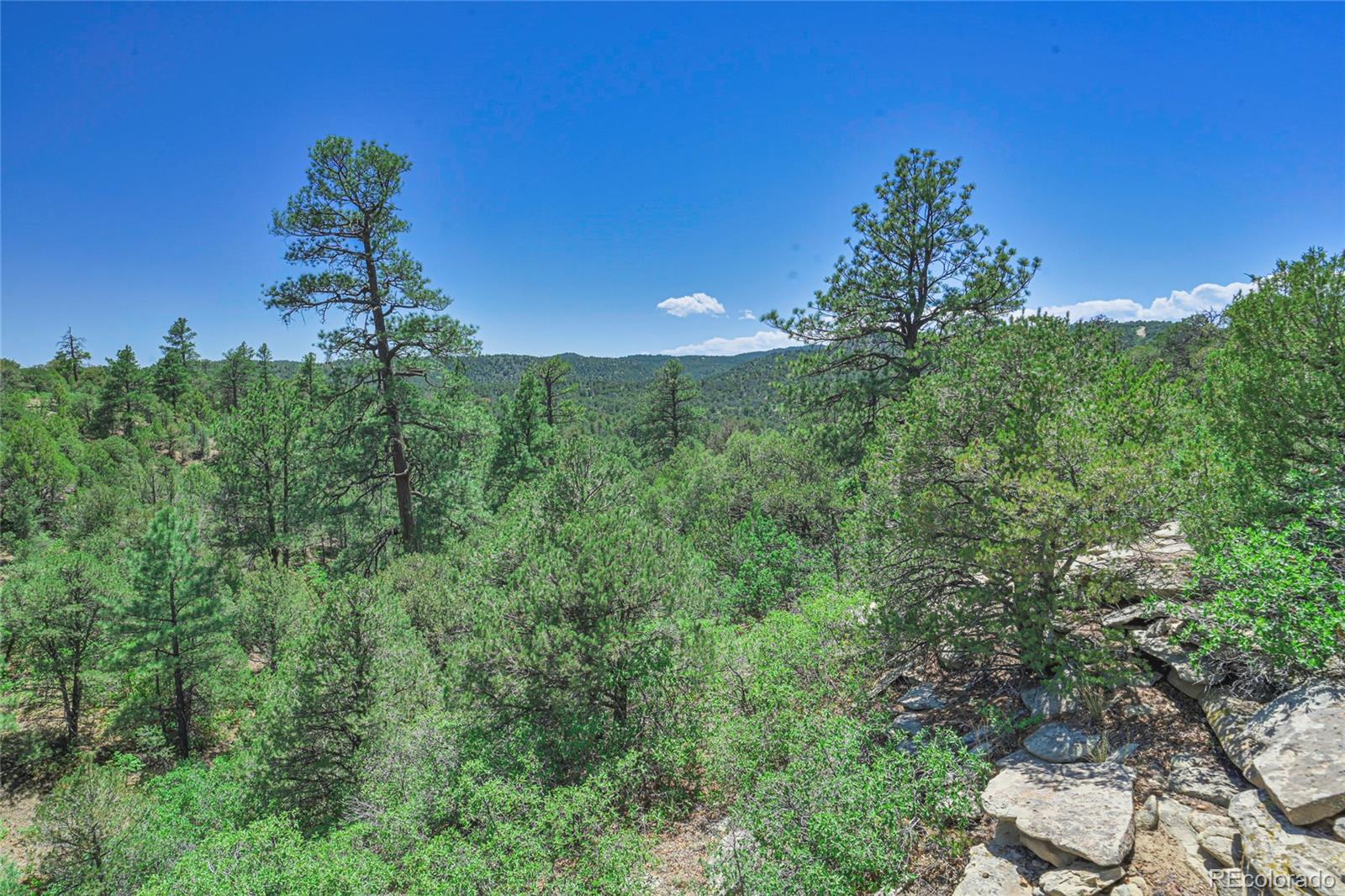 Fishers Peak Ranch Trinidad, CO 81082 - Photo 12 of 32