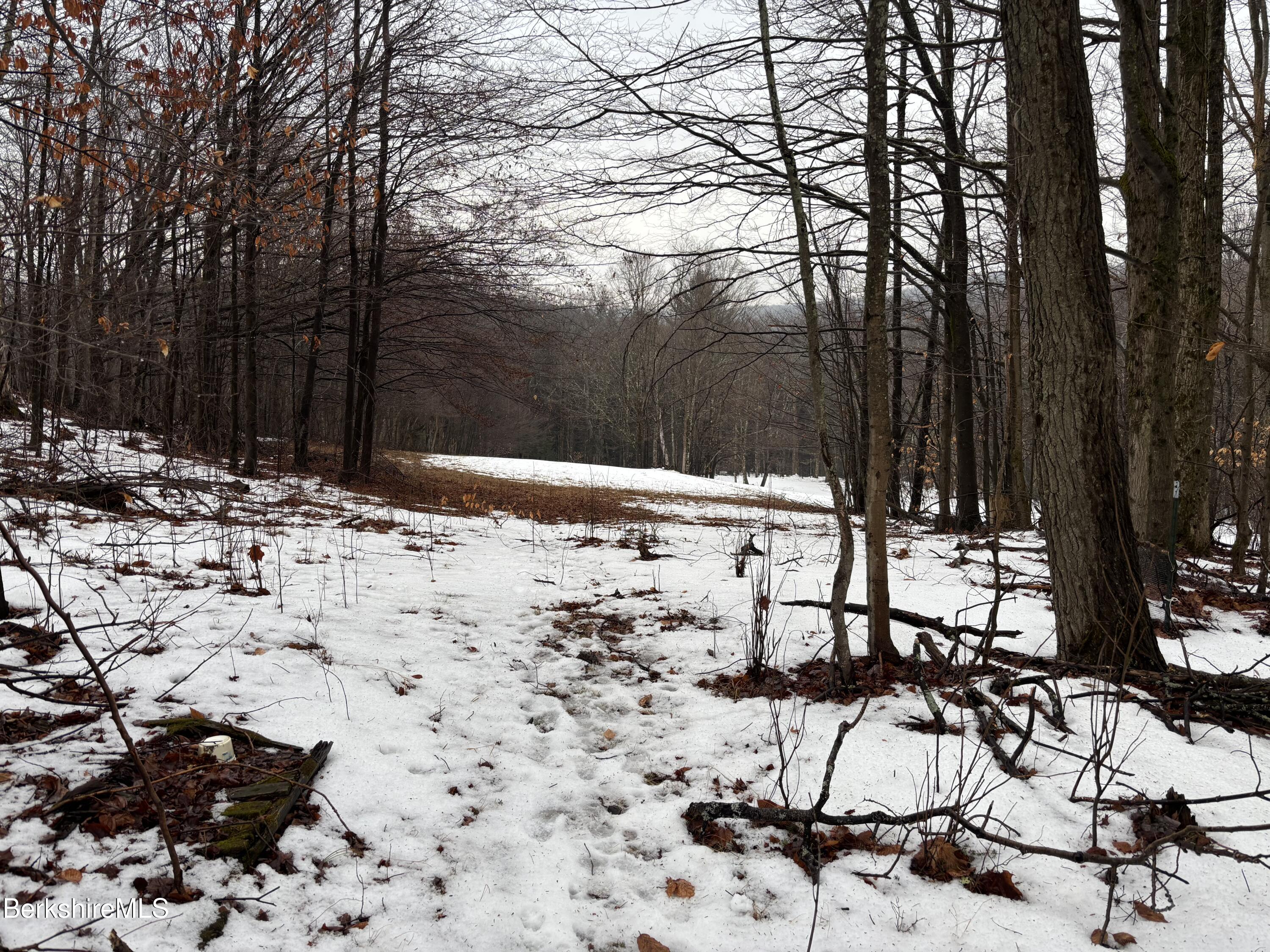 159 Simmons Road Washington, MA 01223 - Photo 3 of 34 Spacious meadows