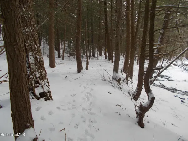 a view of snow covered with snow