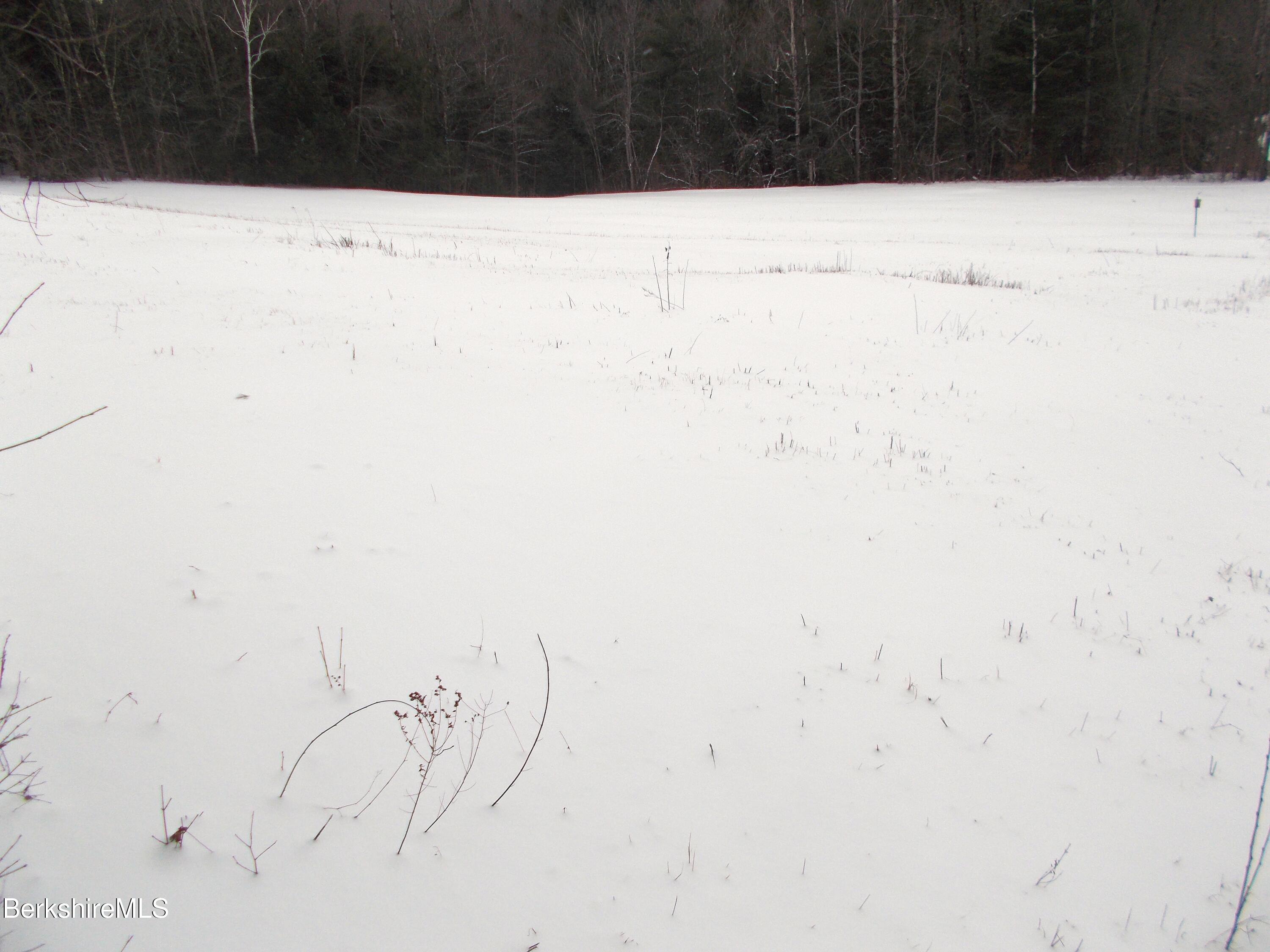 159 Simmons Road Washington, MA 01223 - Photo 8 of 34 Fields