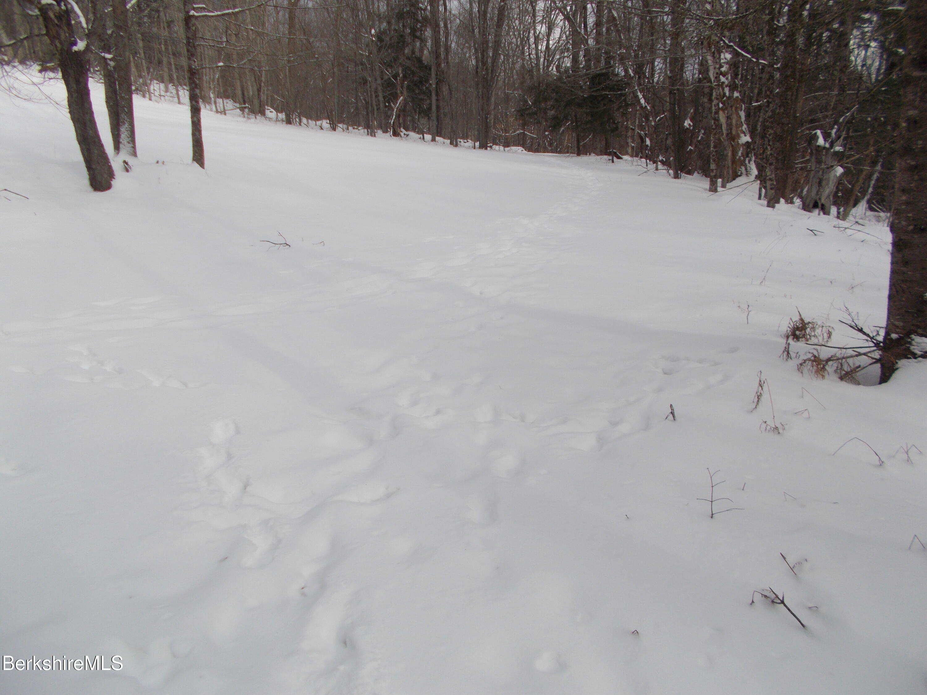 159 Simmons Road Washington, MA 01223 - Photo 9 of 34 hiking area