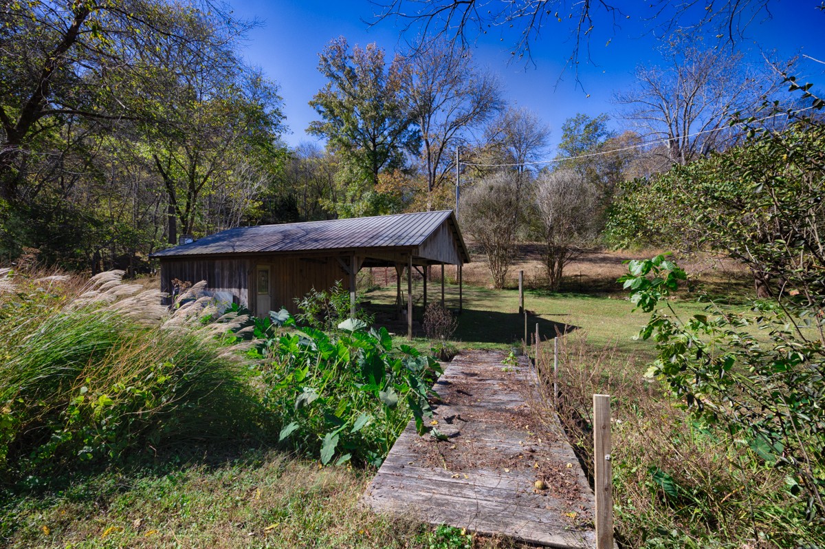 1121 Rolin Hollow Road Ardmore, TN 38449 - Photo 30 of 46 a view of a backyard with plants and a patio