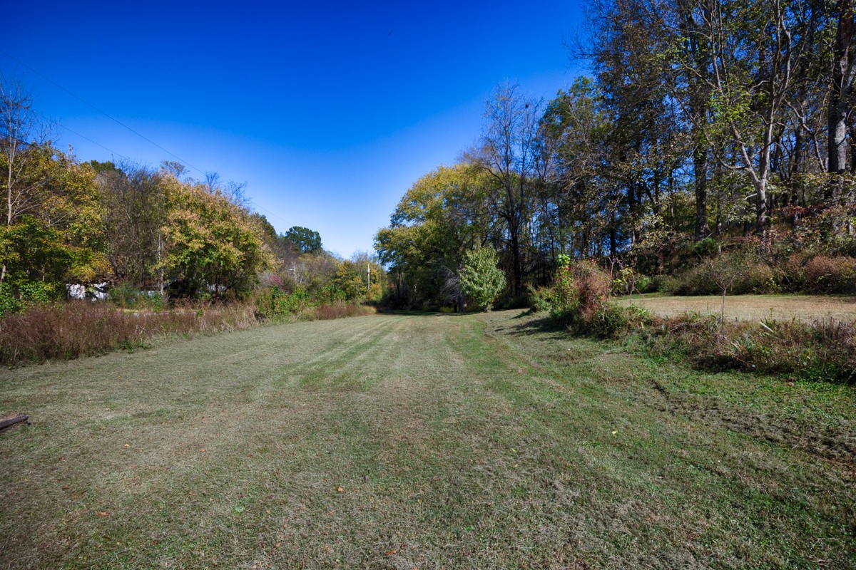 1121 Rolin Hollow Road Ardmore, TN 38449 - Photo 32 of 46 a view of backyard with green space