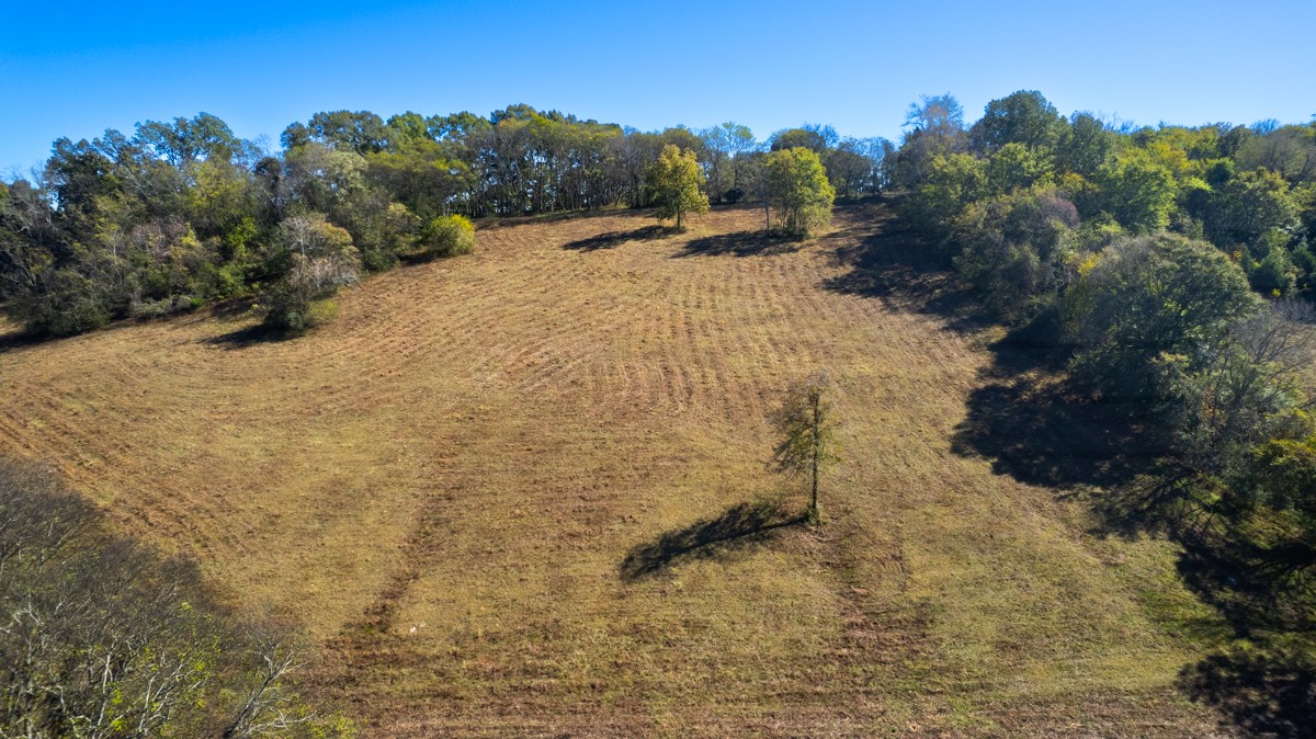 1121 Rolin Hollow Road Ardmore, TN 38449 - Photo 33 of 46 a view of a yard with mountain view
