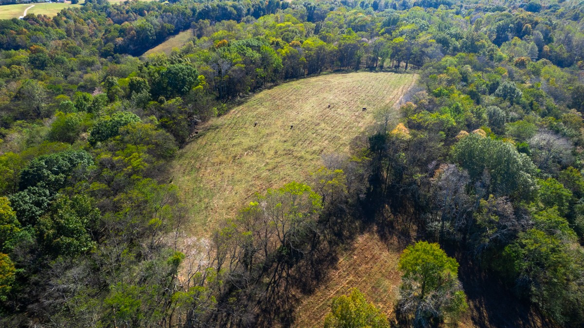 1121 Rolin Hollow Road Ardmore, TN 38449 - Photo 34 of 46