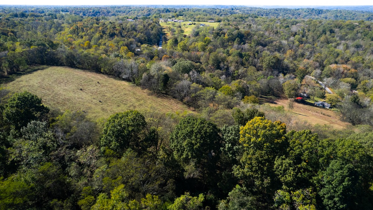 1121 Rolin Hollow Road Ardmore, TN 38449 - Photo 35 of 46 an aerial view of forest