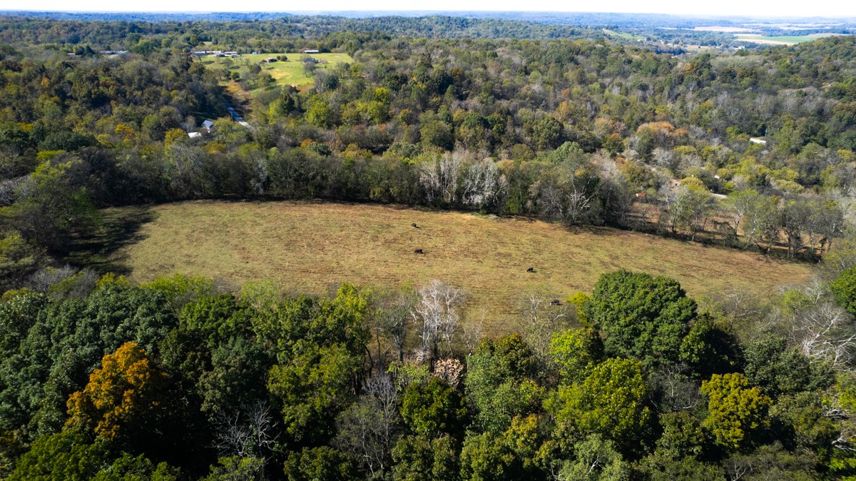 1121 Rolin Hollow Road Ardmore, TN 38449 - Photo 36 of 46 an aerial view of residential house with green space