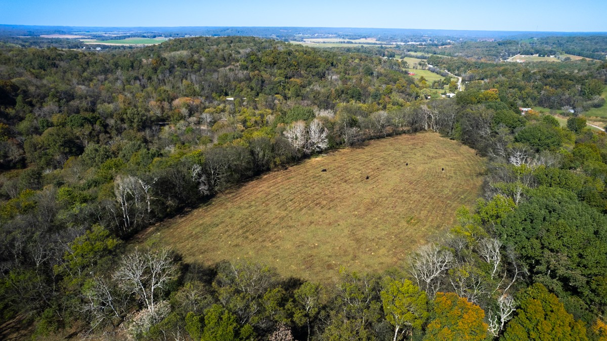 1121 Rolin Hollow Road Ardmore, TN 38449 - Photo 37 of 46 a view of a forest with mountains in the background