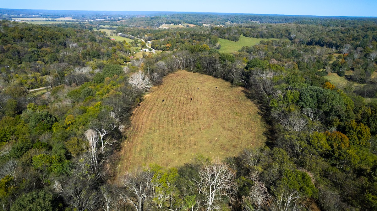 1121 Rolin Hollow Road Ardmore, TN 38449 - Photo 38 of 46 an aerial view of a houses with a forest