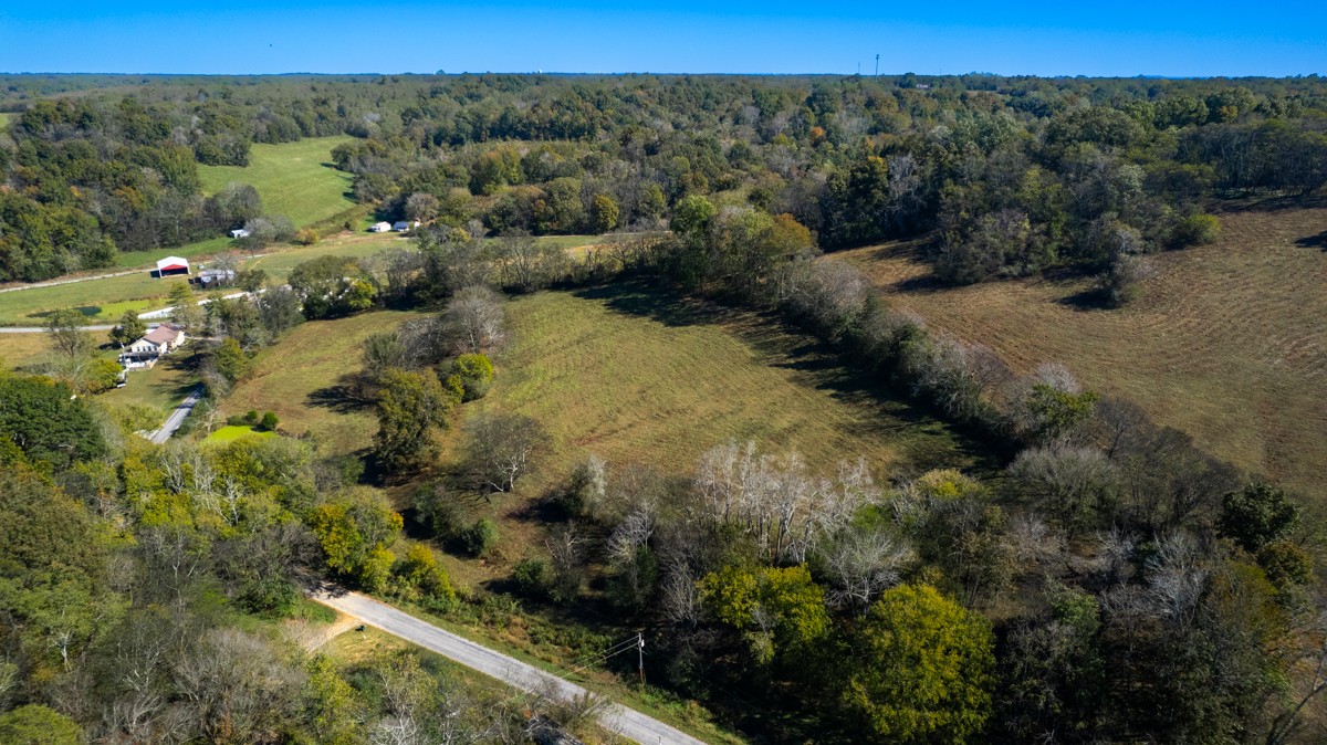 1121 Rolin Hollow Road Ardmore, TN 38449 - Photo 43 of 46 a view of a forest with a forest