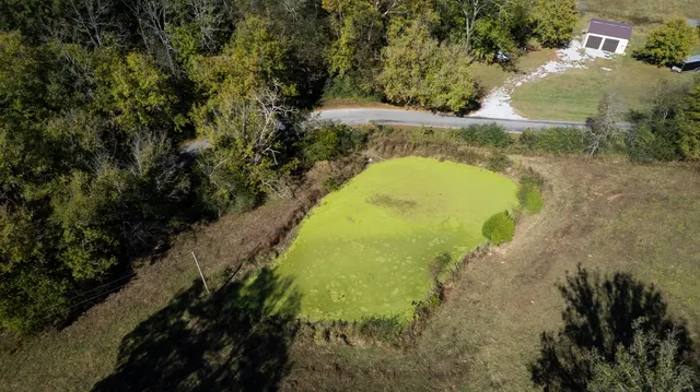 a view of a city and flowers