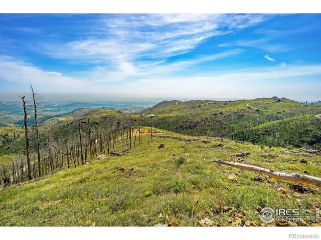 $250,000 | 1600 Whale Rock Road, Bellvue, CO 80512