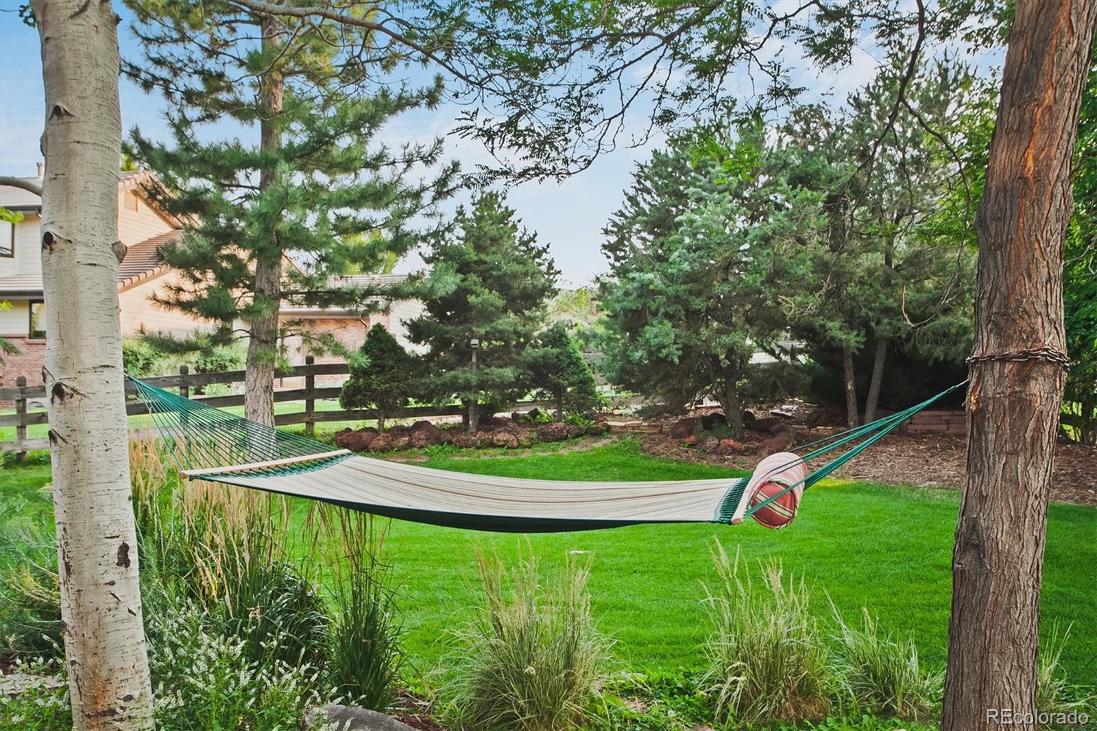 4 Mule Deer Trail Littleton, CO 80127 - Photo 34 of 40 a view of a backyard with large trees