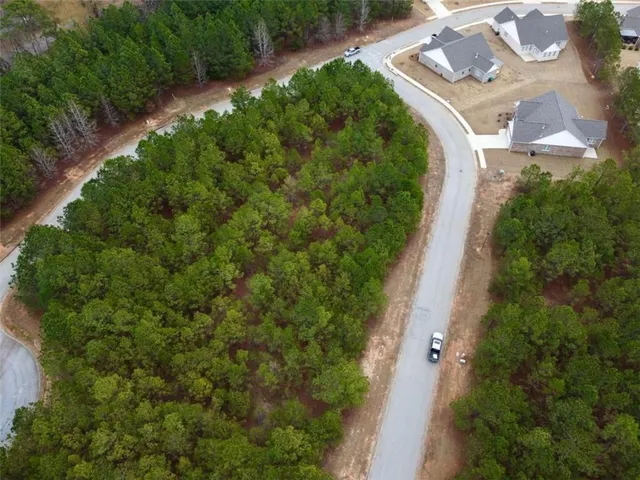 an aerial view of a house with outdoor space and street view