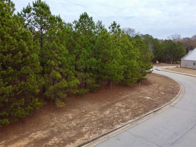 a view of a yard with trees