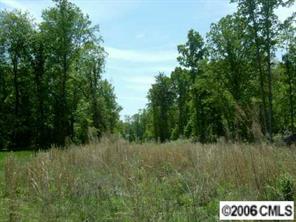0 Talley Road Hamptonville, NC 27020 - Photo 2 of 7 a view of a lush green forest with large trees