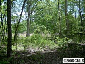 0 Talley Road Hamptonville, NC 27020 - Photo 5 of 7 a view of a lush green forest
