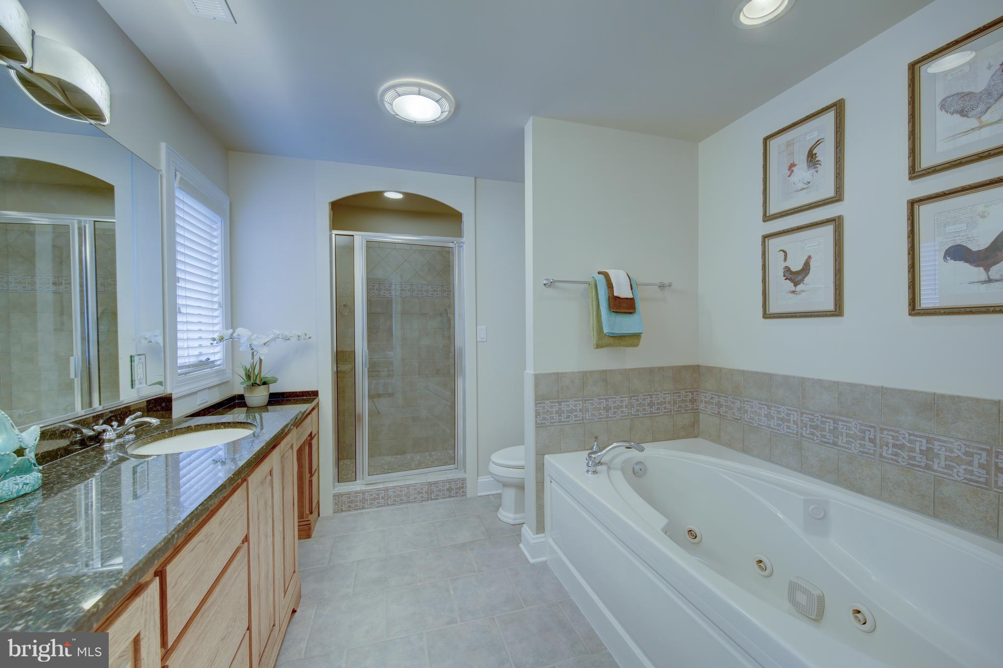 34 Short Road Bethany Beach, DE 19930 - Photo 31 of 54 Up Level 2 Master Bath large jetted tub