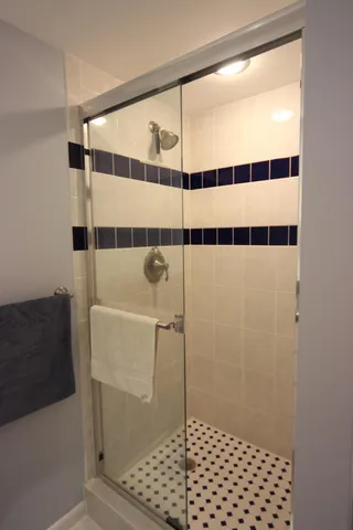 a bathroom with a shower and a toilet