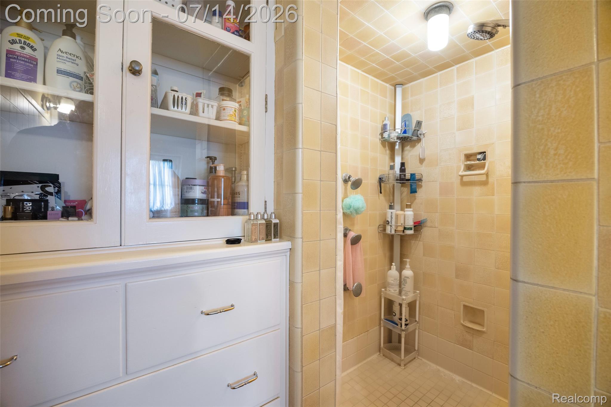189 Cloverly Road Grosse Pointe, MI 48236 - Photo 45 of 96 Built-in white cabinetry with glass-front upper doors and lower drawers, complemented by a tiled shower enclosure with a mosaic tile floor