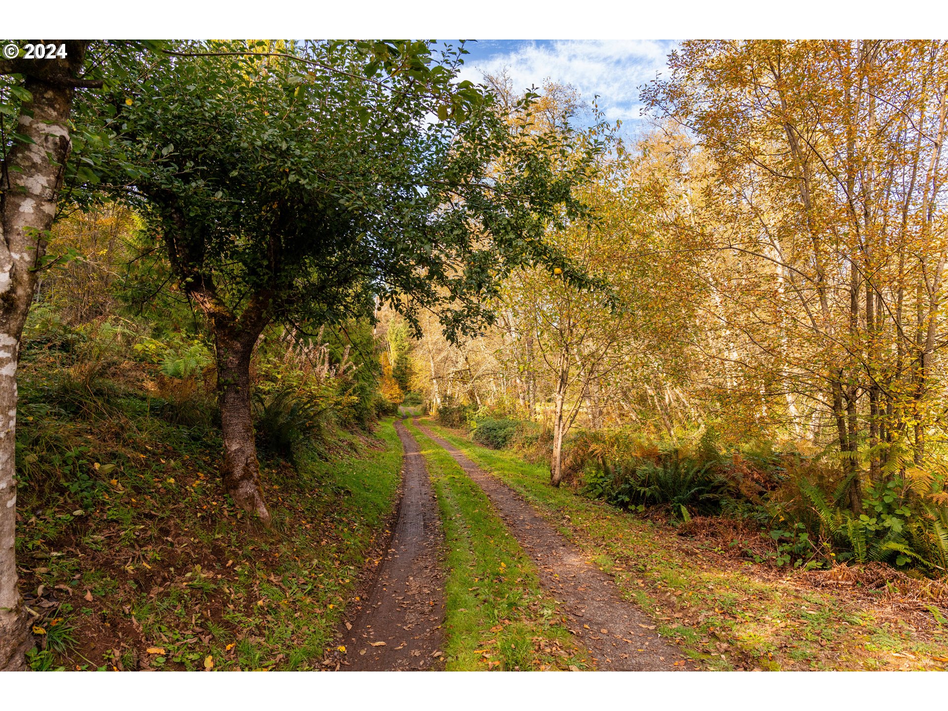 0 Lentz Road Rainier, OR 97048 - Photo 1 of 17 a view of outdoor space and yard