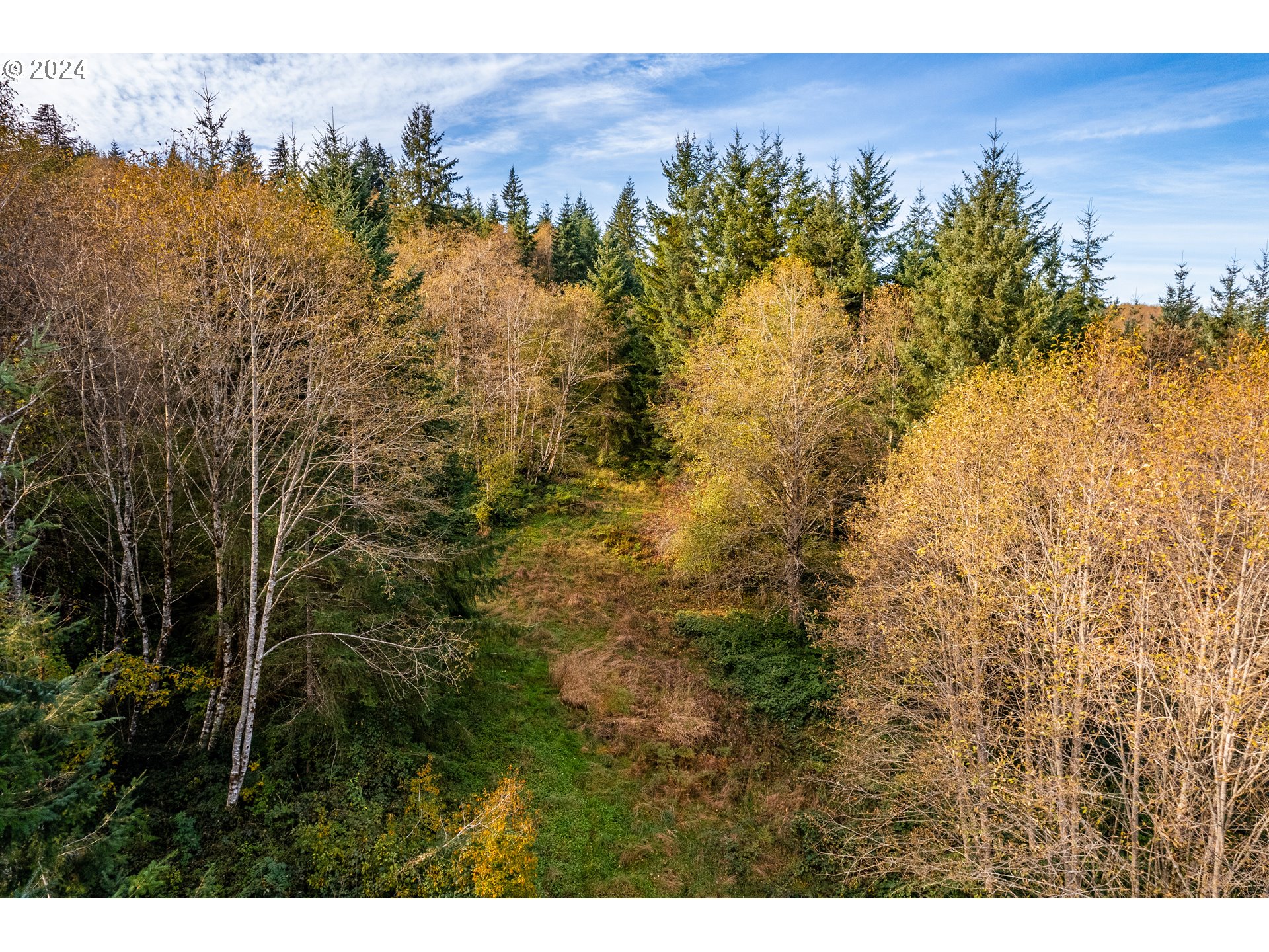 0 Lentz Road Rainier, OR 97048 - Photo 14 of 17 a view of a area with a tree