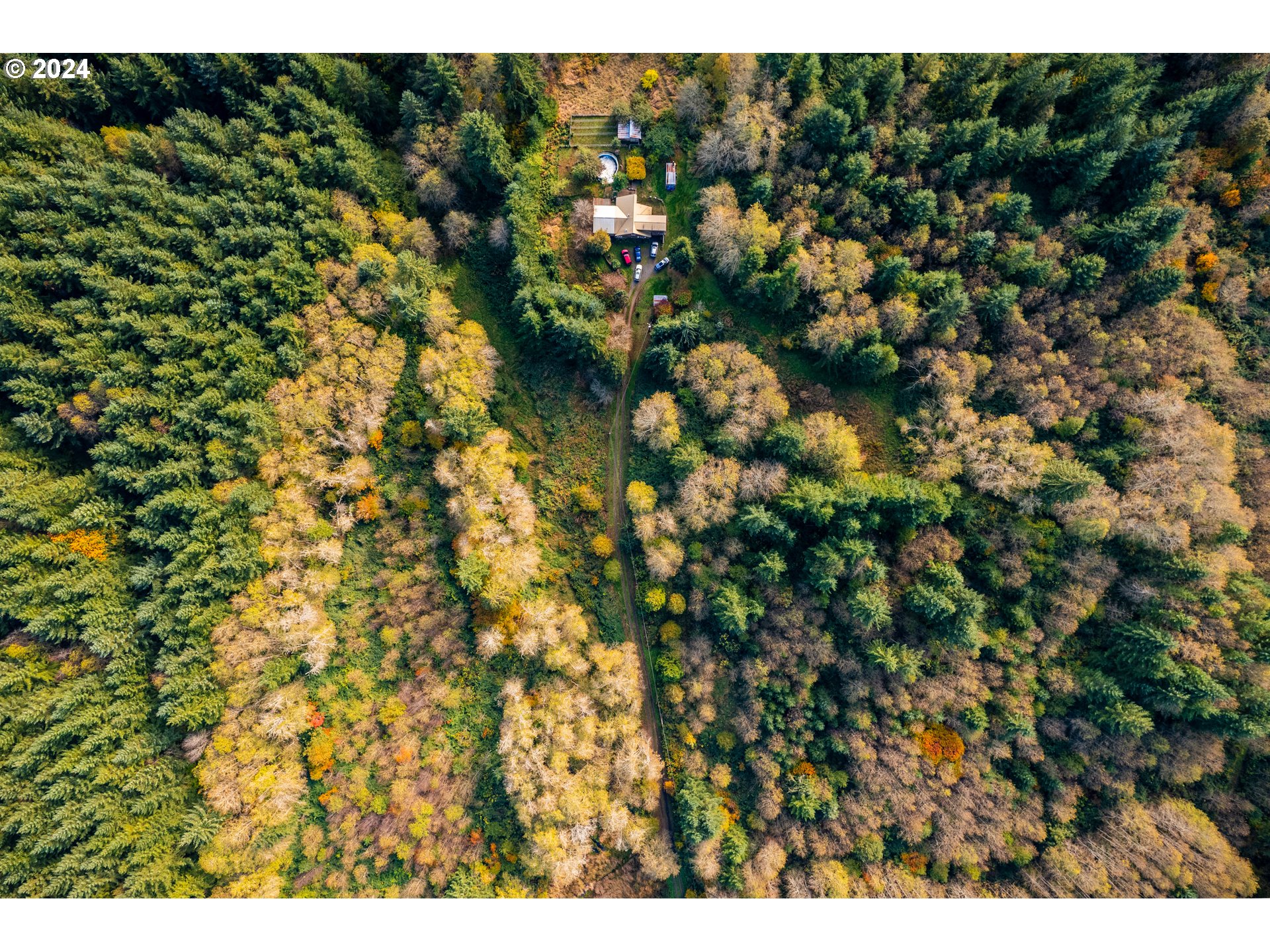0 Lentz Road Rainier, OR 97048 - Photo 16 of 17 a view of a bunch of trees