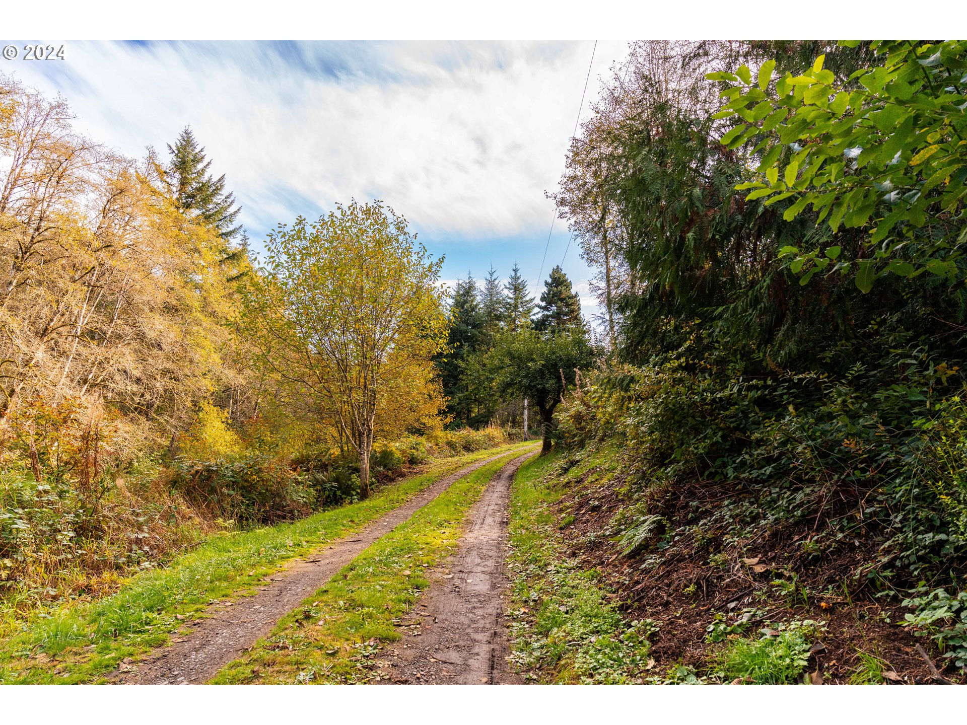 0 Lentz Road Rainier, OR 97048 - Photo 5 of 17 a view of a yard with an outdoor space