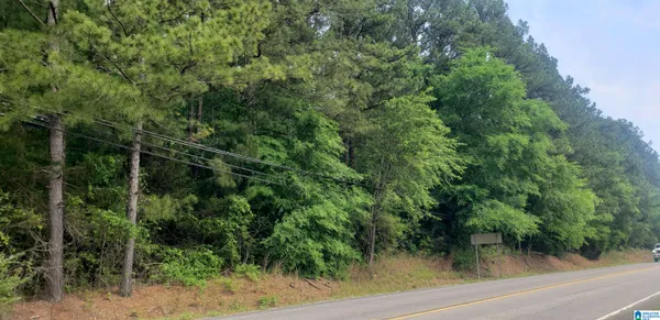 $798,148 | 0 Us Highway, Unit 1, Springville, AL 35146