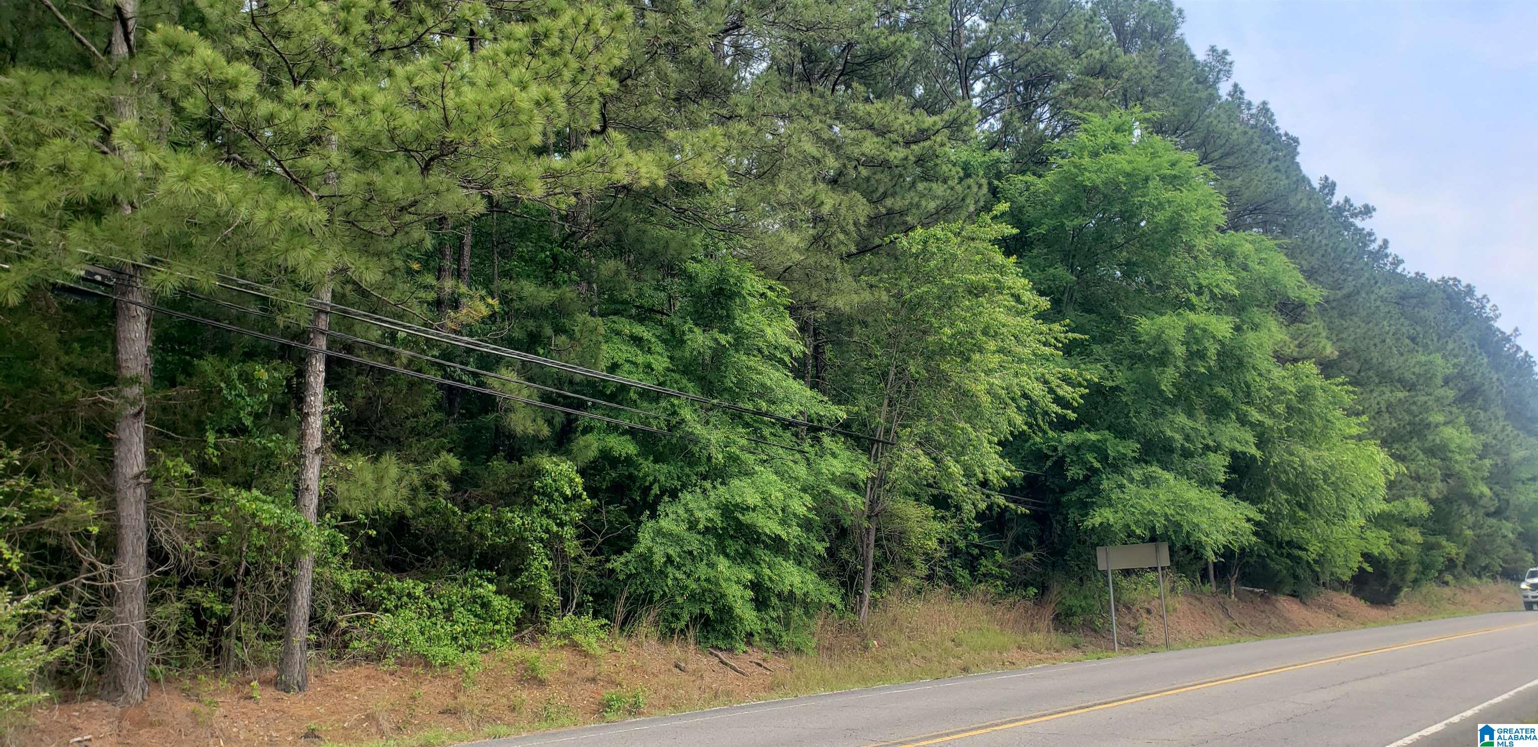 0 Us Highway, Unit 1 Springville, AL 35146 - Photo 1 of 5