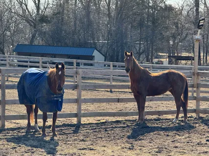 $2,150,000 | 708 South Rose Farm Road, Woodstock, IL 60098